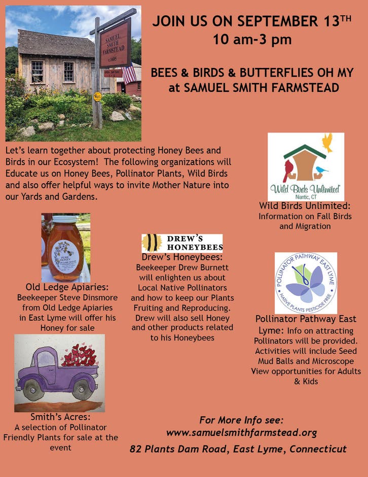 Celebrating the indispensable role of bees, birds, and butterflies in nature's balance.
