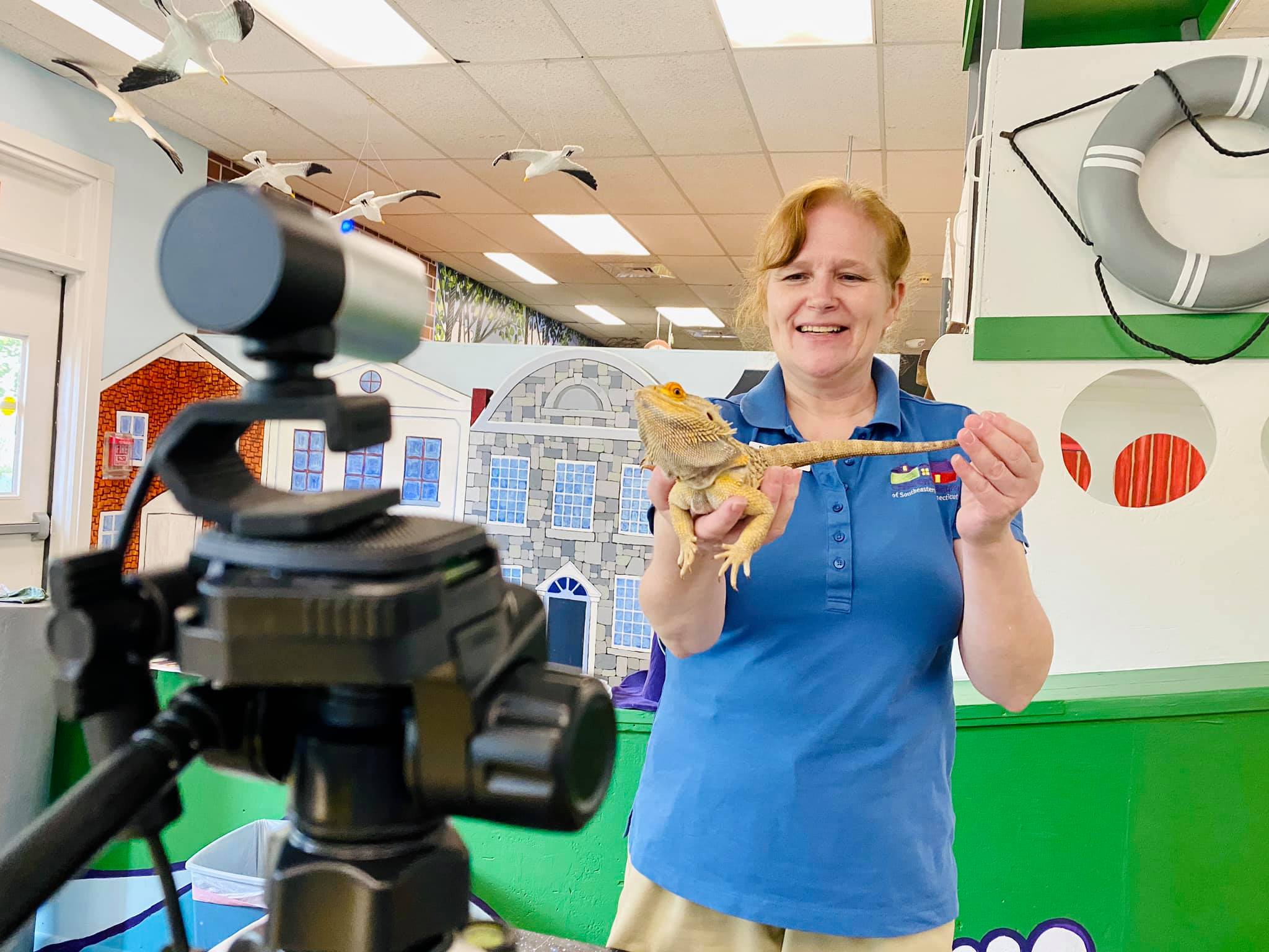 Mr. Rogers, the Russian tortoise, is a star attraction during the live animal encounters at Niantic Children's Museum.